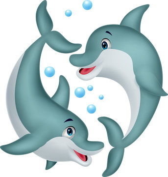 Cute dolphin couple cartoon