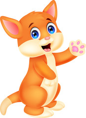 Cute baby cat cartoon