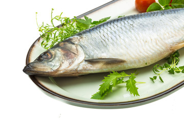 Marinated herring with herbs