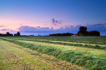 hay on field at sunrise © Olha Rohulya