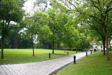 Gordijnen Tropic Green, Fort Canning Park Singapore, Asia Rain forest © teoyeekhai