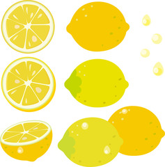 レモンの果実とスライスレモン