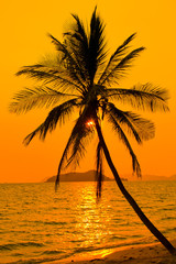 Obraz na płótnie Canvas Tropical sunset, Thailand.