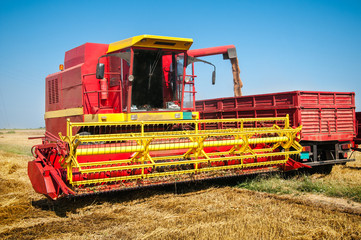 Obraz premium Combine harvesting wheat