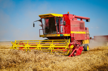 Fototapeta premium Combine harvesting wheat