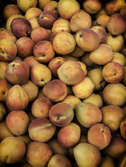 Fresh peaches, bunch of