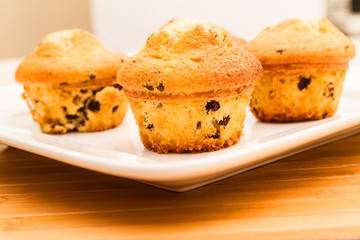 Fototapeta na wymiar Vanilla with chocolate chips Muffins