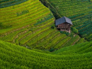 Keuken spatwand met foto Rice terraces © pyty