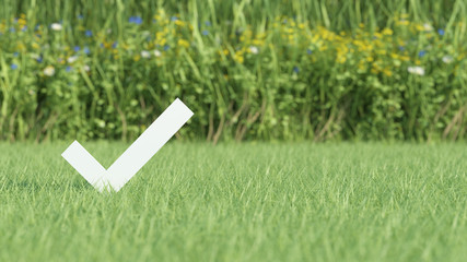 Check mark on grass field