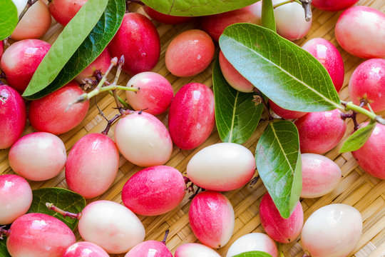 Fresh Karaunda (karonda) berry, (Carissa carandas)