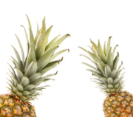 Frame consisting of two pineapples.