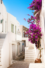 Traditional greek alley on Sifnos island, Greece - 54115076