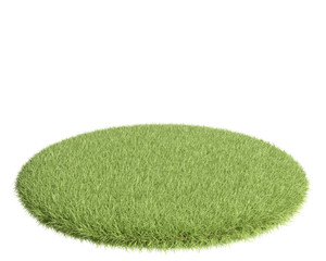 Green grass field