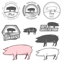 Set of pork labels, badges and design elements