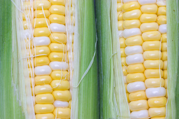 Close up of sweetcorn.