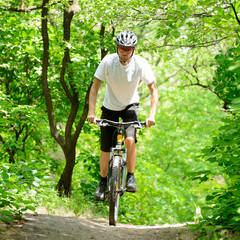 Cyclist Riding the Bike on the Trail in the Forest