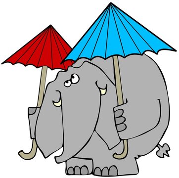 Fototapeta Elephant with 2 umbrellas