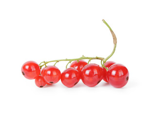 fresh ripe redcurrant