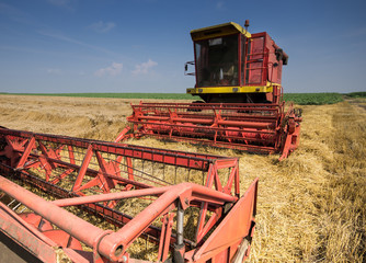 Obraz premium Two combine harvesters standing parked in barley field during summer harvest