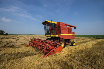 Fototapeta premium harvester working in the field