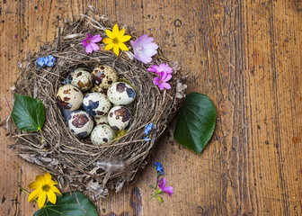 easter eggs in a nest - still life