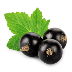 Three black currant
