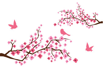 Fototapeta premium vector cherry blossom with birds