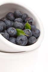 fresh blueberries