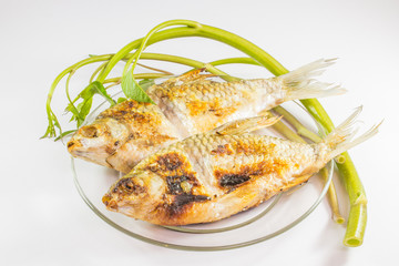 grilled fish