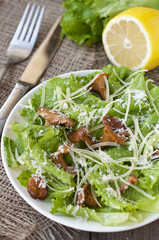 salad with mushrooms (chanterelles), parmesan, lettuce