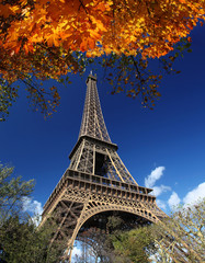 Fototapeta na wymiar Wieża Eiffla z liści jesienią w Paryżu, Francja