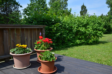 Flowerpots in garden