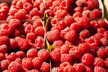 Fresh raspberry