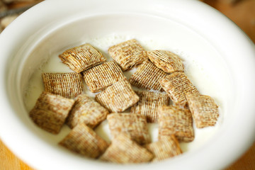 Shredded whole wheat breakfast cereal in milk and bowl, eating