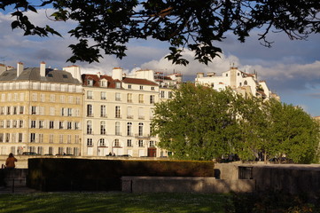 Fototapeta na wymiar Budynek stoi Ile de la Cité - Paris