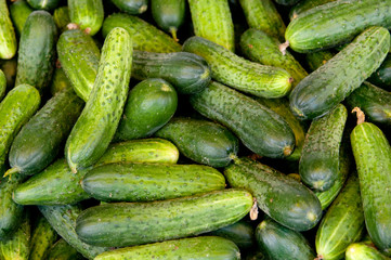 Cucumbers