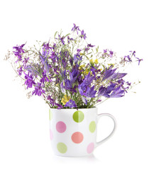 Beautiful bouquet of wildflowers in cup, isolated on white