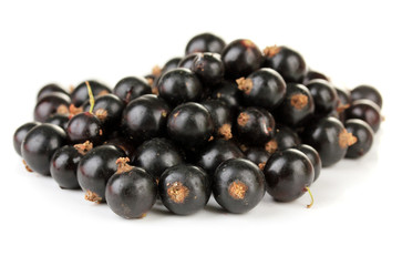Black currant isolated on white