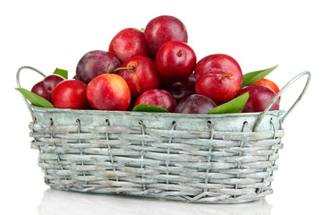 Ripe plums in basket isolated on white