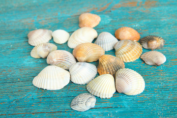 Sea seashells on blue wooden table close-up