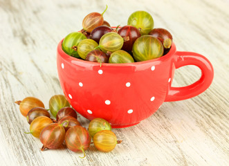 Fresh gooseberries in cup on table close-up