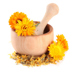 Fresh and dried calendula flowers in wooden mortar  isolated