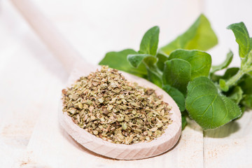 Oregano