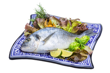 Fresh raw dorada