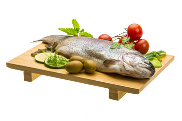Fresh raw rainbow trout