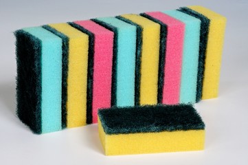 Sponge scourers © Arena Photo UK