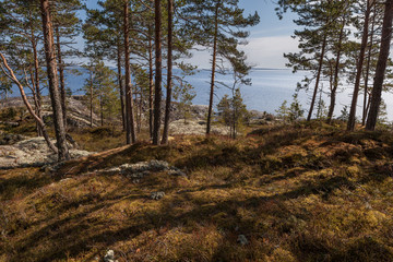 Rocky coast of lake. A landscape