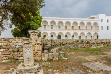 Fototapeta premium ancient ruins of Carthage, Tunisia