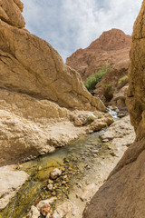 mountain oasis Chebika in Sahara desert, Tunisia