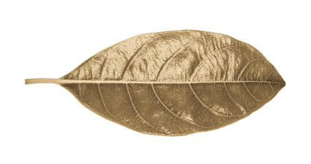 Jack fruit leaf Gold